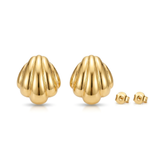Gold shell-shaped earrings on a white background
