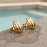 Gold shell-shaped earrings on a textured surface on the edge of a pool