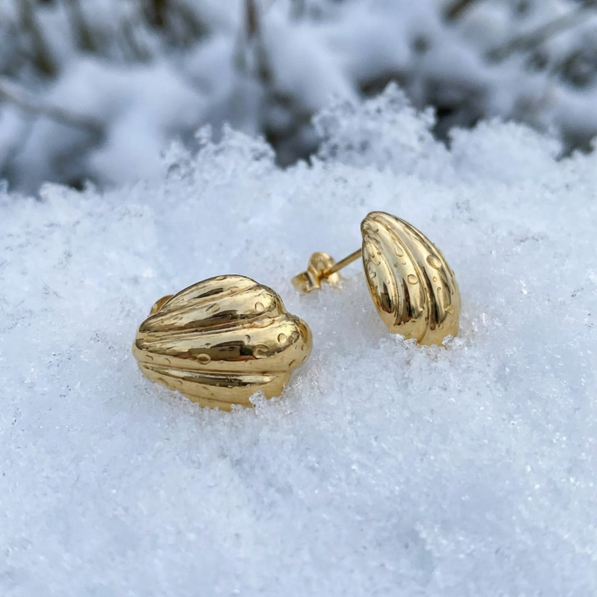 Gold shell-shaped earrings on a snowy surface